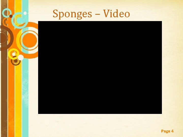 Sponges – Video Free Powerpoint Templates Page 4 