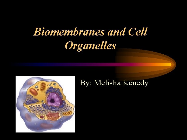 Biomembranes and Cell Organelles By: Melisha Kenedy 