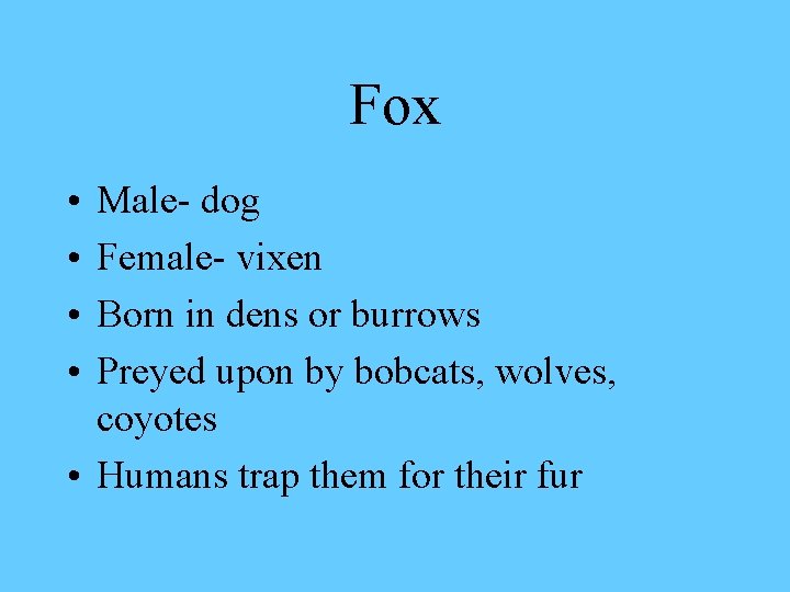 Fox • • Male- dog Female- vixen Born in dens or burrows Preyed upon