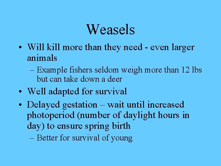 Weasels • Will kill more than they need - even larger animals – Example