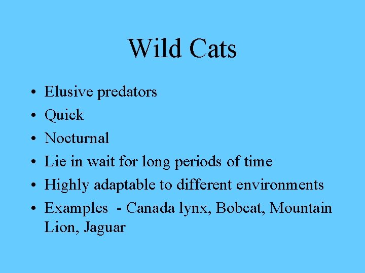 Wild Cats • • • Elusive predators Quick Nocturnal Lie in wait for long