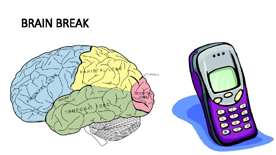 BRAIN BREAK BRAIN BREAK