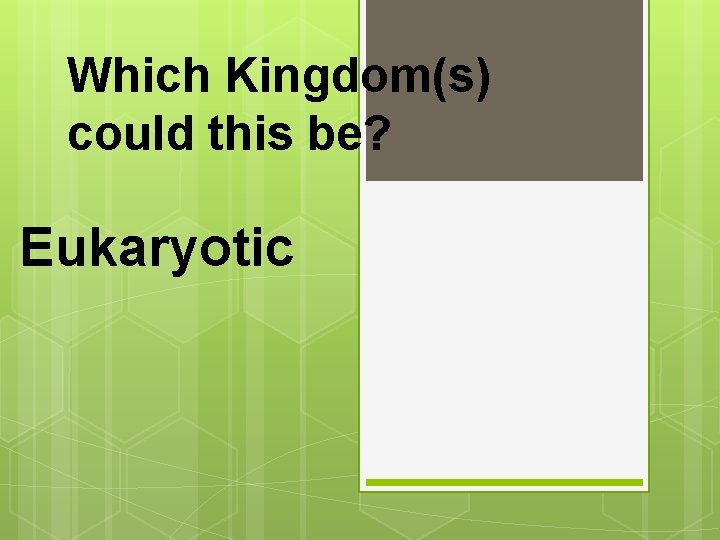 Which Kingdom(s) could this be? Eukaryotic 