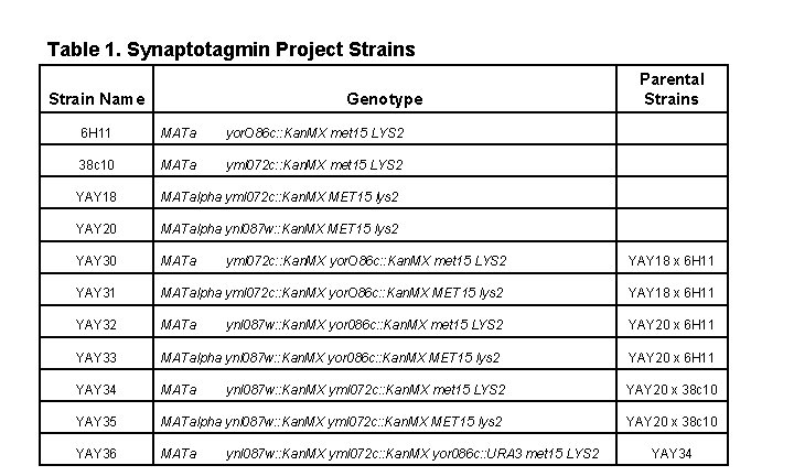 Table 1 Synaptotagmin Project Strains Strain Name Genotype
