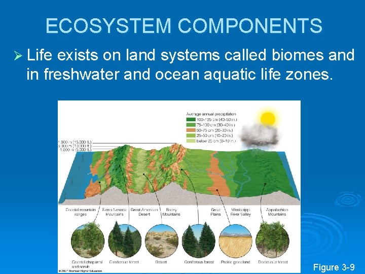 ECOSYSTEM COMPONENTS Ø Life exists on land systems called biomes and in freshwater and