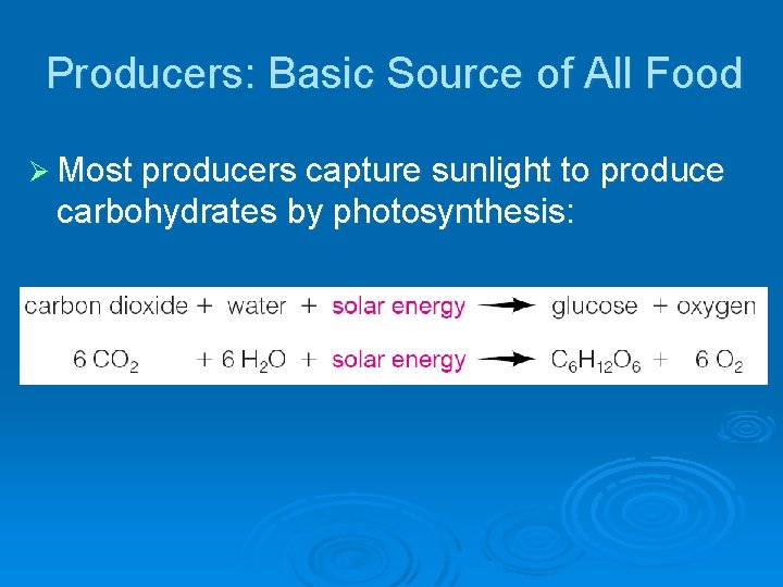 Producers: Basic Source of All Food Ø Most producers capture sunlight to produce carbohydrates