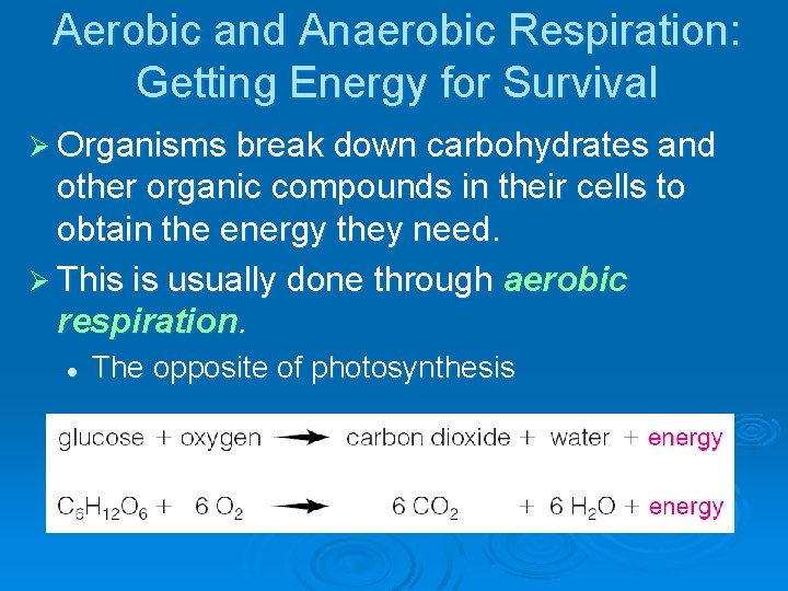 Aerobic and Anaerobic Respiration: Getting Energy for Survival Ø Organisms break down carbohydrates and