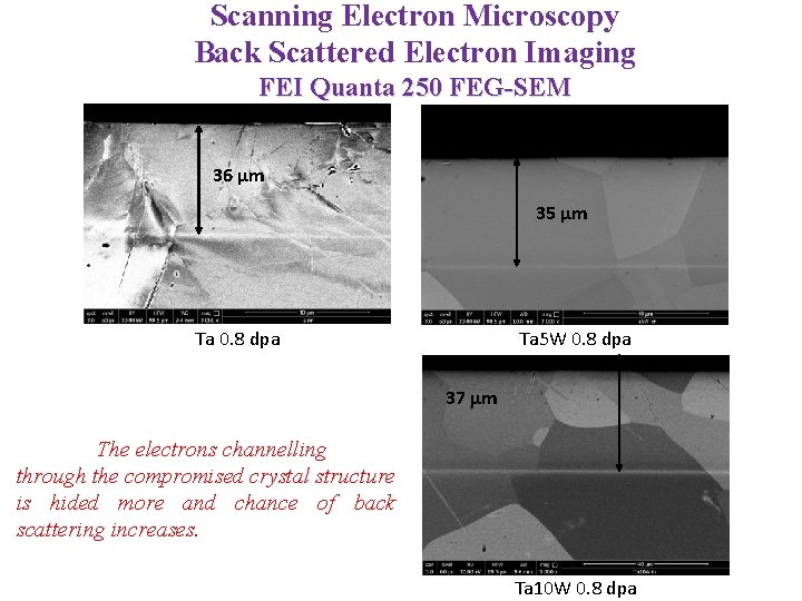 Scanning Electron Microscopy Back Scattered Electron Imaging FEI Quanta 250 FEG-SEM 36 µm 35