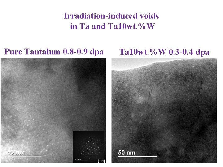 Irradiation-induced voids in Ta and Ta 10 wt. %W Pure Tantalum 0. 8 -0.