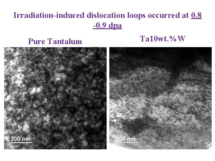 Irradiation-induced dislocation loops occurred at 0. 8 -0. 9 dpa Pure Tantalum Ta 10