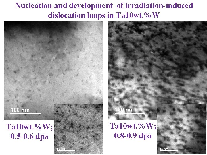 Nucleation and development of irradiation-induced dislocation loops in Ta 10 wt. %W; 0. 5