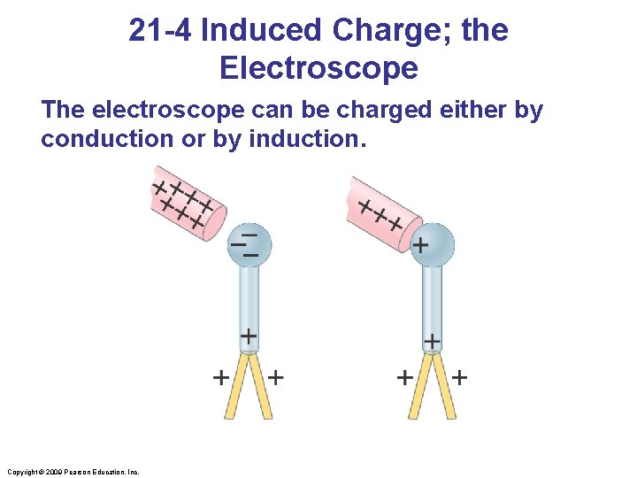 21 -4 Induced Charge; the Electroscope The electroscope can be charged either by conduction