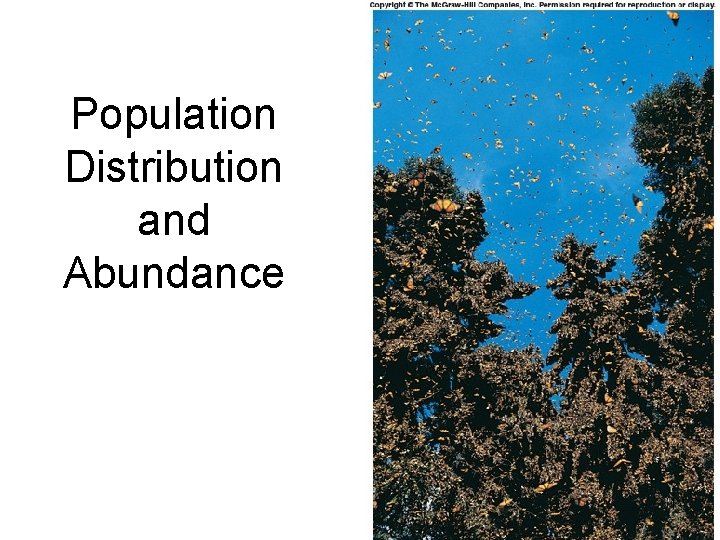 Population Distribution and Abundance 1 1 