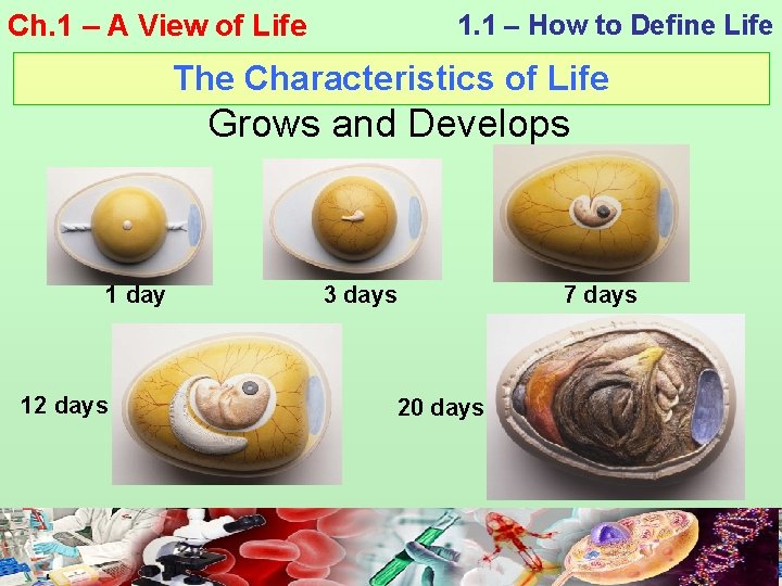 Ch. 1 – A View of Life 1. 1 – How to Define Life