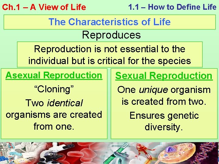 Ch. 1 – A View of Life 1. 1 – How to Define Life