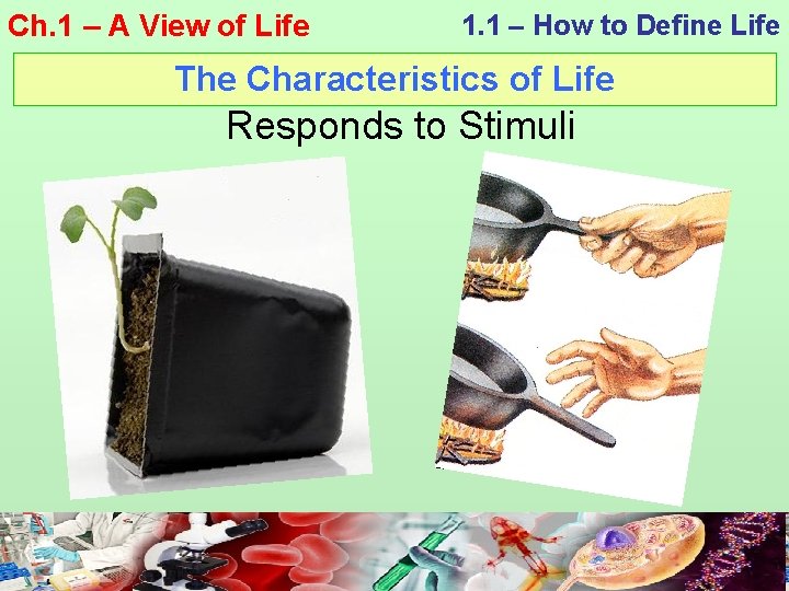 Ch. 1 – A View of Life 1. 1 – How to Define Life