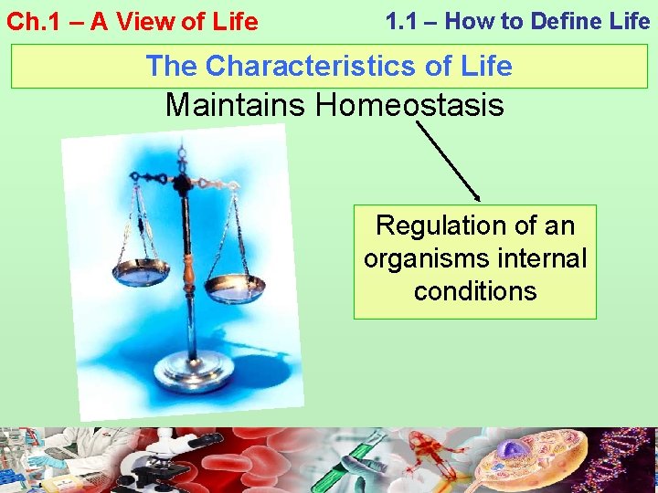 Ch. 1 – A View of Life 1. 1 – How to Define Life