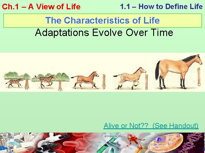 Ch. 1 – A View of Life 1. 1 – How to Define Life