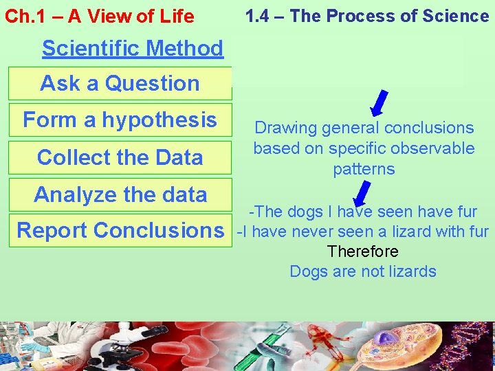 Ch. 1 – A View of Life 1. 4 – The Process of Science