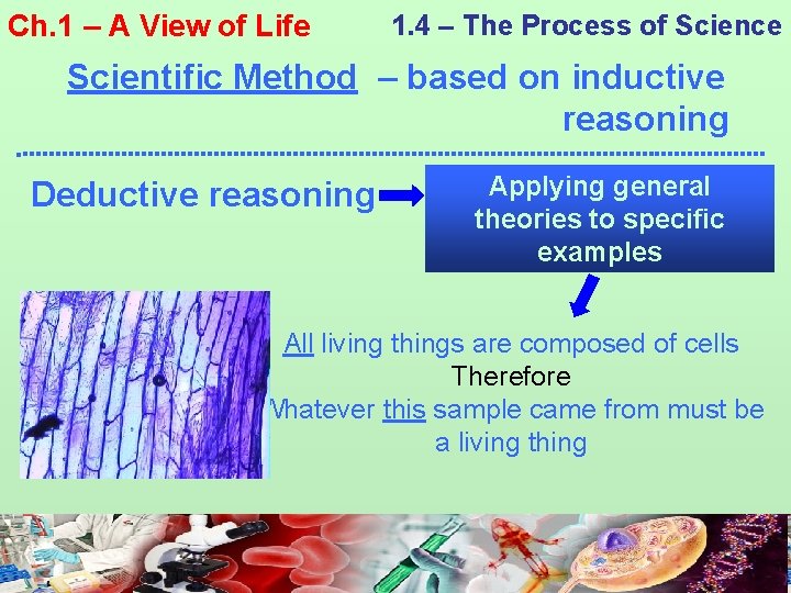 Ch. 1 – A View of Life 1. 4 – The Process of Science