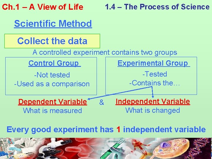 Ch. 1 – A View of Life 1. 4 – The Process of Science