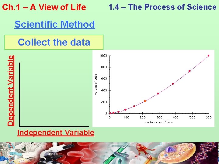 Ch. 1 – A View of Life Scientific Method Dependent Variable Collect the data