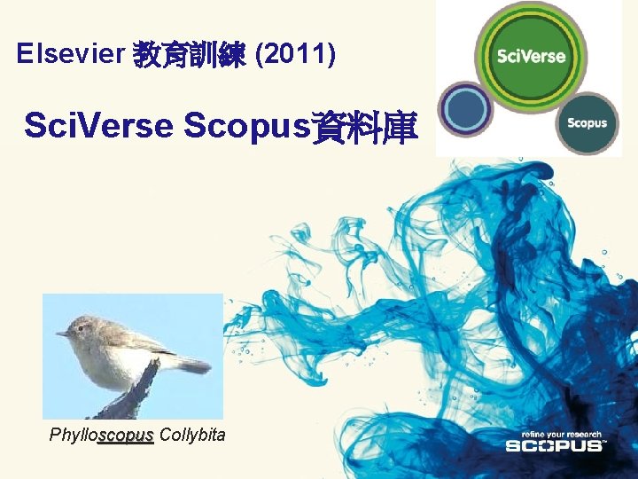 Elsevier 教育訓練 (2011) Sci. Verse Scopus資料庫 Phylloscopus Collybita 