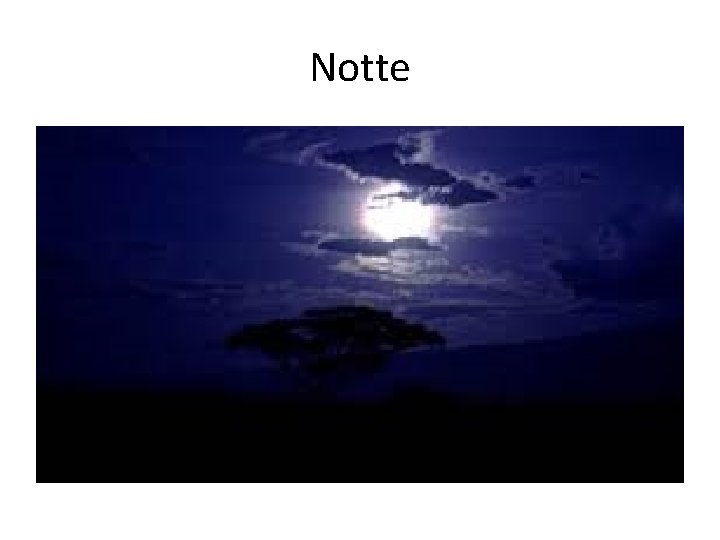 Notte 
