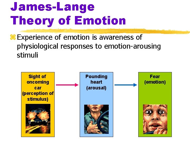 James-Lange Theory of Emotion z Experience of emotion is awareness of physiological responses to