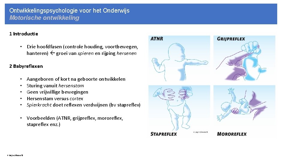 Ontwikkelingspsychologie voor het Onderwijs Motorische ontwikkeling 1 Introductie • Drie hoofdfasen (controle houding, voortbewegen,