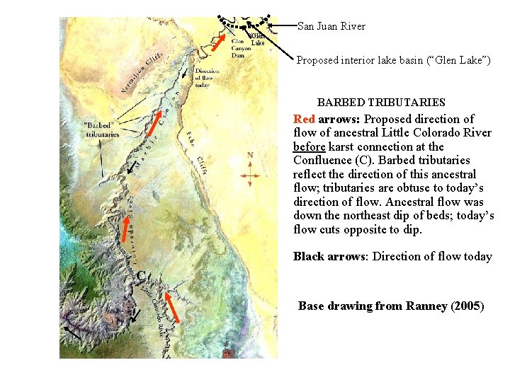 Glen Lake San Juan River Proposed interior lake basin (“Glen Lake”) BARBED TRIBUTARIES Red