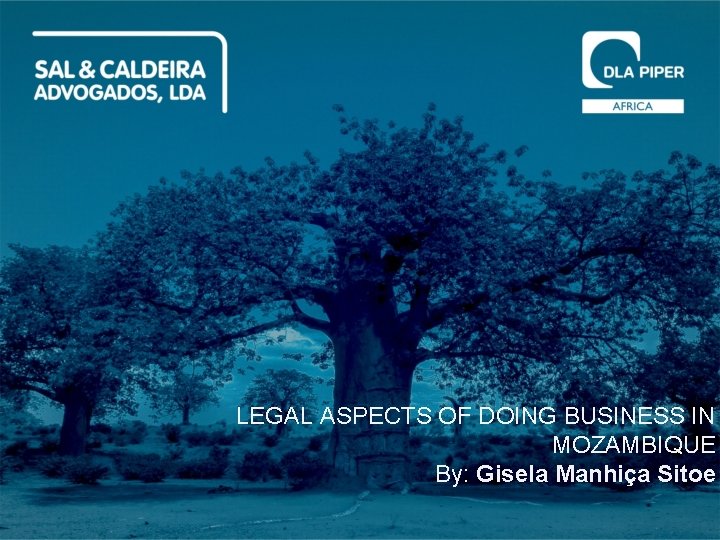 LEGAL ASPECTS OF DOING BUSINESS IN MOZAMBIQUE By: Gisela Manhiça Sitoe 