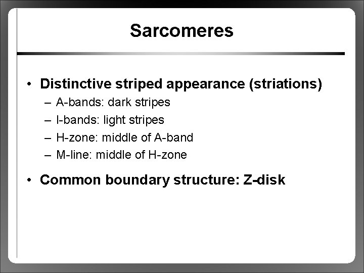 Sarcomeres • Distinctive striped appearance (striations) – – A-bands: dark stripes I-bands: light stripes