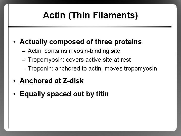 Actin (Thin Filaments) • Actually composed of three proteins – Actin: contains myosin-binding site