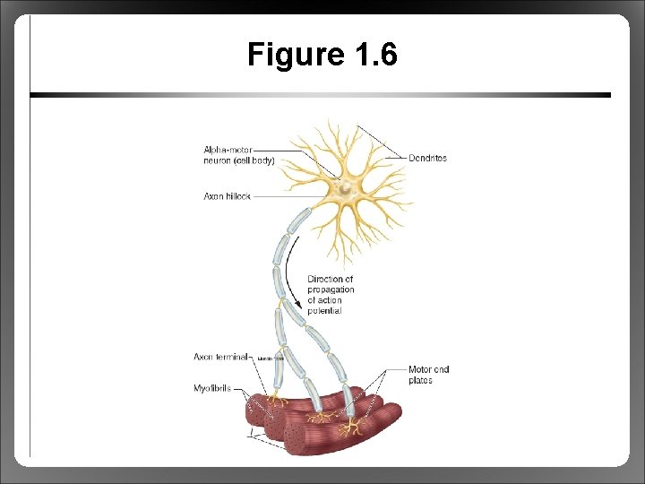 Figure 1. 6 