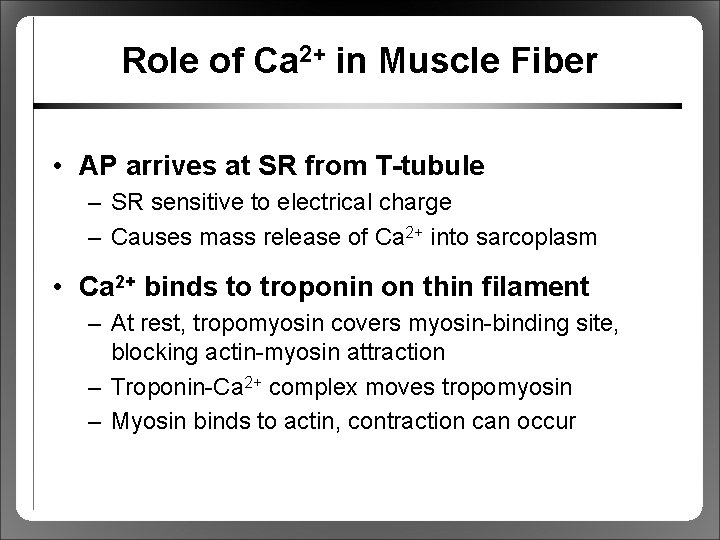 Role of Ca 2+ in Muscle Fiber • AP arrives at SR from T-tubule