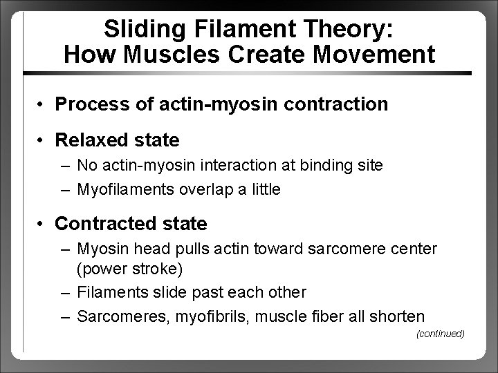 Sliding Filament Theory: How Muscles Create Movement • Process of actin-myosin contraction • Relaxed