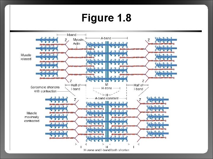 Figure 1. 8 