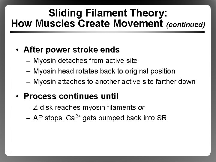 Sliding Filament Theory: How Muscles Create Movement (continued) • After power stroke ends –