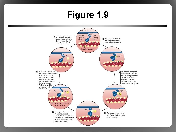 Figure 1. 9 