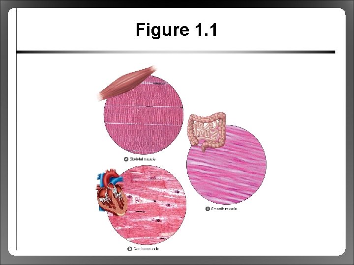 Figure 1. 1 