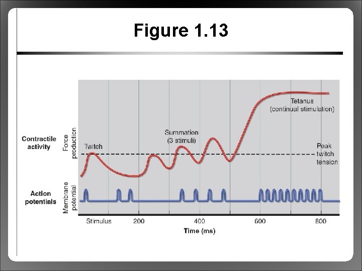 Figure 1. 13 