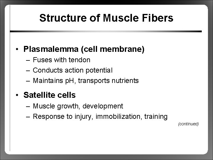 Structure of Muscle Fibers • Plasmalemma (cell membrane) – Fuses with tendon – Conducts