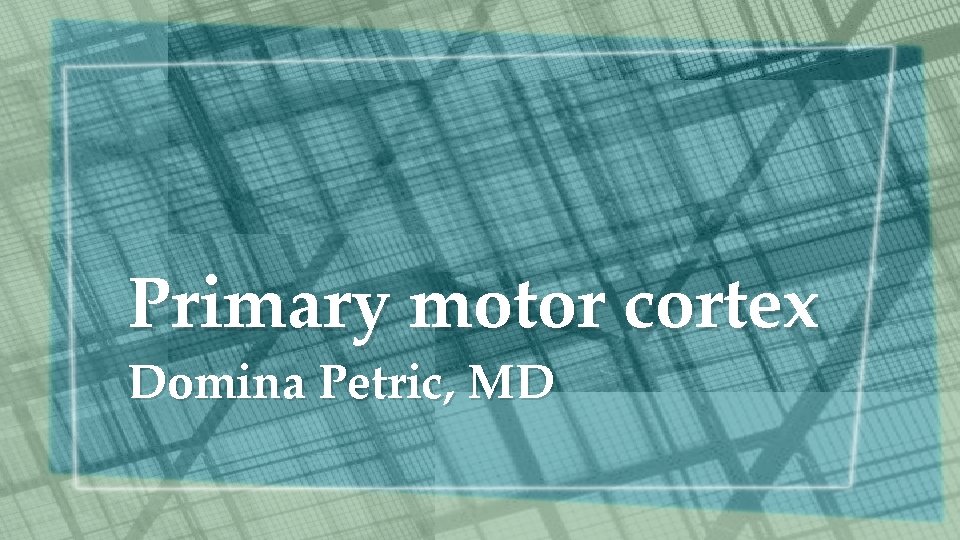 Primary motor cortex Domina Petric, MD Primary motor cortex Domina Petric, MD
