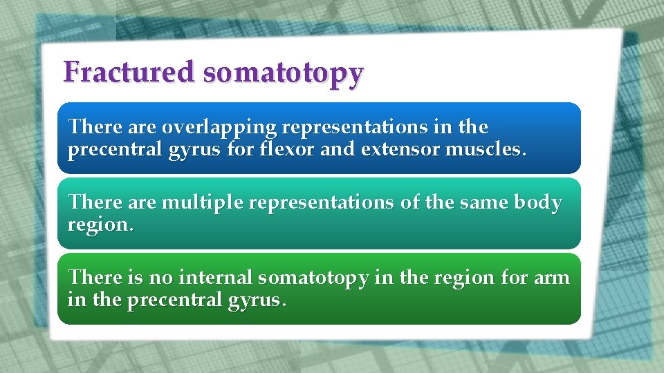 Fractured somatotopy There are overlapping representations in the precentral gyrus for flexor and extensor Fractured somatotopy There are overlapping representations in the precentral gyrus for flexor and extensor