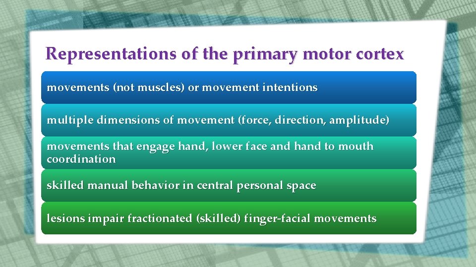Representations of the primary motor cortex movements (not muscles) or movement intentions multiple dimensions