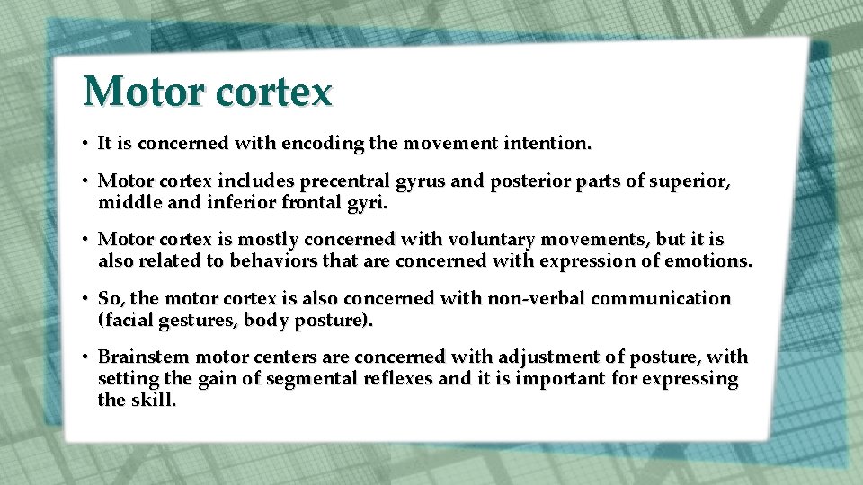 Motor cortex • It is concerned with encoding the movement intention. • Motor cortex