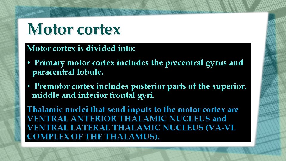 Motor cortex is divided into: • Primary motor cortex includes the precentral gyrus and