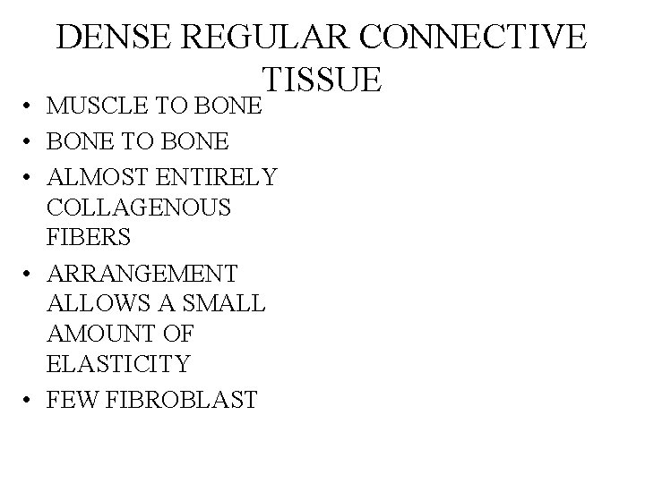 DENSE REGULAR CONNECTIVE TISSUE • MUSCLE TO BONE • BONE TO BONE • ALMOST DENSE REGULAR CONNECTIVE TISSUE • MUSCLE TO BONE • BONE TO BONE • ALMOST