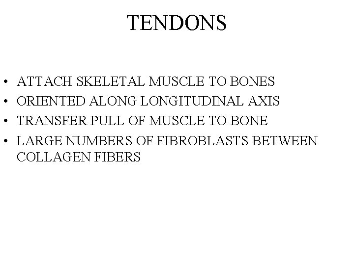 TENDONS • • ATTACH SKELETAL MUSCLE TO BONES ORIENTED ALONGITUDINAL AXIS TRANSFER PULL OF